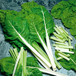 Feiner Blatt-Mangold Samen f�r den Garten Rhubarb Chard/Bali