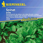 Spinat-Samen Sorte Atlanta
