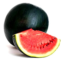 Wassermelone (Pflanzen) Sorte: Ingrid F1
