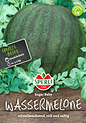 Wassermelonen-Samen Sorte Sugar Baby von Sperli