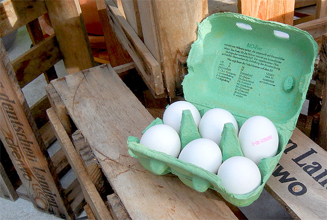 Bio-Eier von glcklichen Hhnern :-)
