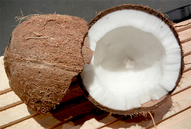 Kokosnuss Frisch