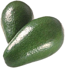 Avocado frisch aus Bio-Anbau