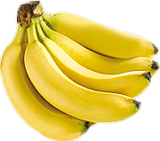 Bio-Bananen aus Ecuador
