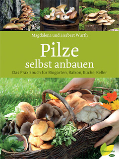 Edle Pilzmischung aus der Tiefkühltruhe Edle Pilzmischung aus der Tiefkühltruhe