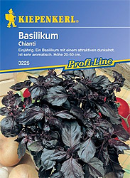 Rotes Basilikum (Samen) Sorte: Chianti