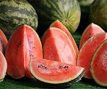 Wassermelone-Saatgut Sorte Crimson Sweet von Bobby-Seeds