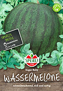 Wassermelone (Samen) Sorte: Sugar Baby von Sperli