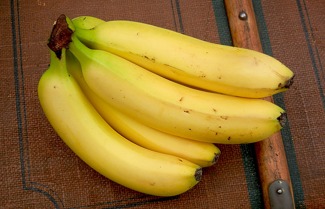 Bananen sind meistens krumm, aber manchmal auch fast gerade ...