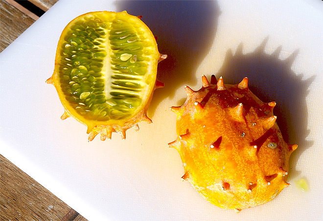 Kiwano - Stachelige Frucht aus den Tropen ...
