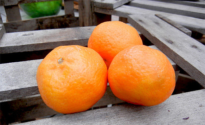 Mandarinchen schmecken im Winter am besten ...