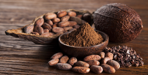 Reines Kakaopulver aus den Samen des Kakaobaumes (bot. Theobroma cacao)